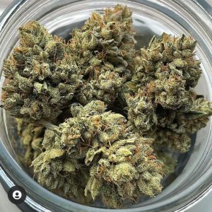 ar of cured Headband cannabis buds with frosty trichomes and vibrant orange hairs.