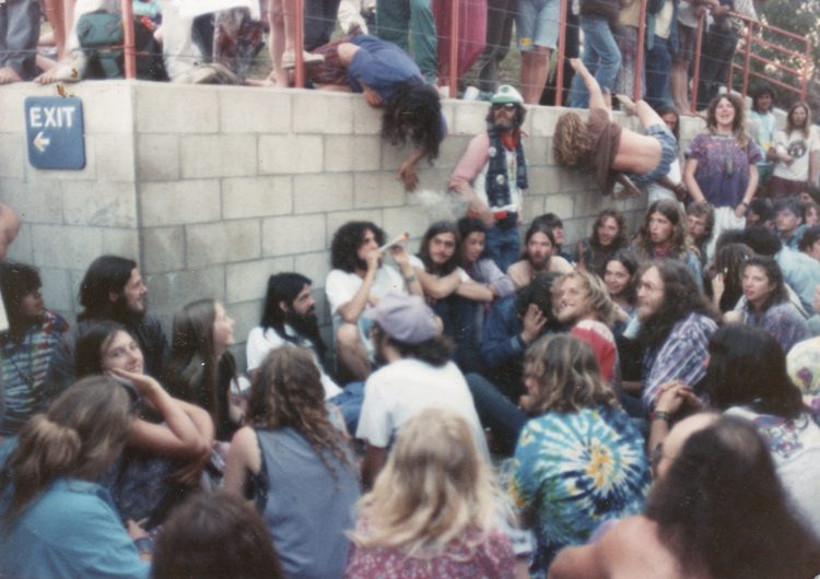 Grateful Dead lot scene Fatty Family set break cannabis community